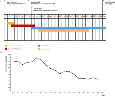 Diagnosis by metagenomic next-generation sequencing of a Talaromyces marneffei bloodstream infection in an HIV-negative child: A case report